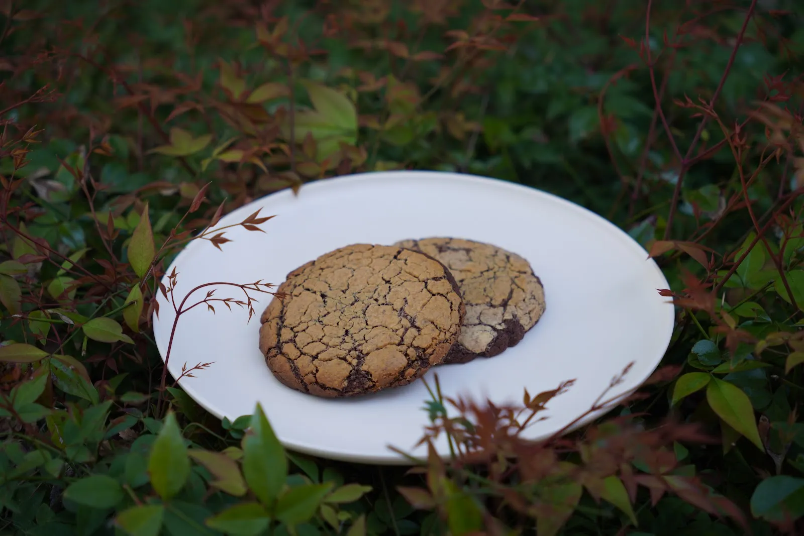 Caramelized White Chocolate Brownie Cookie