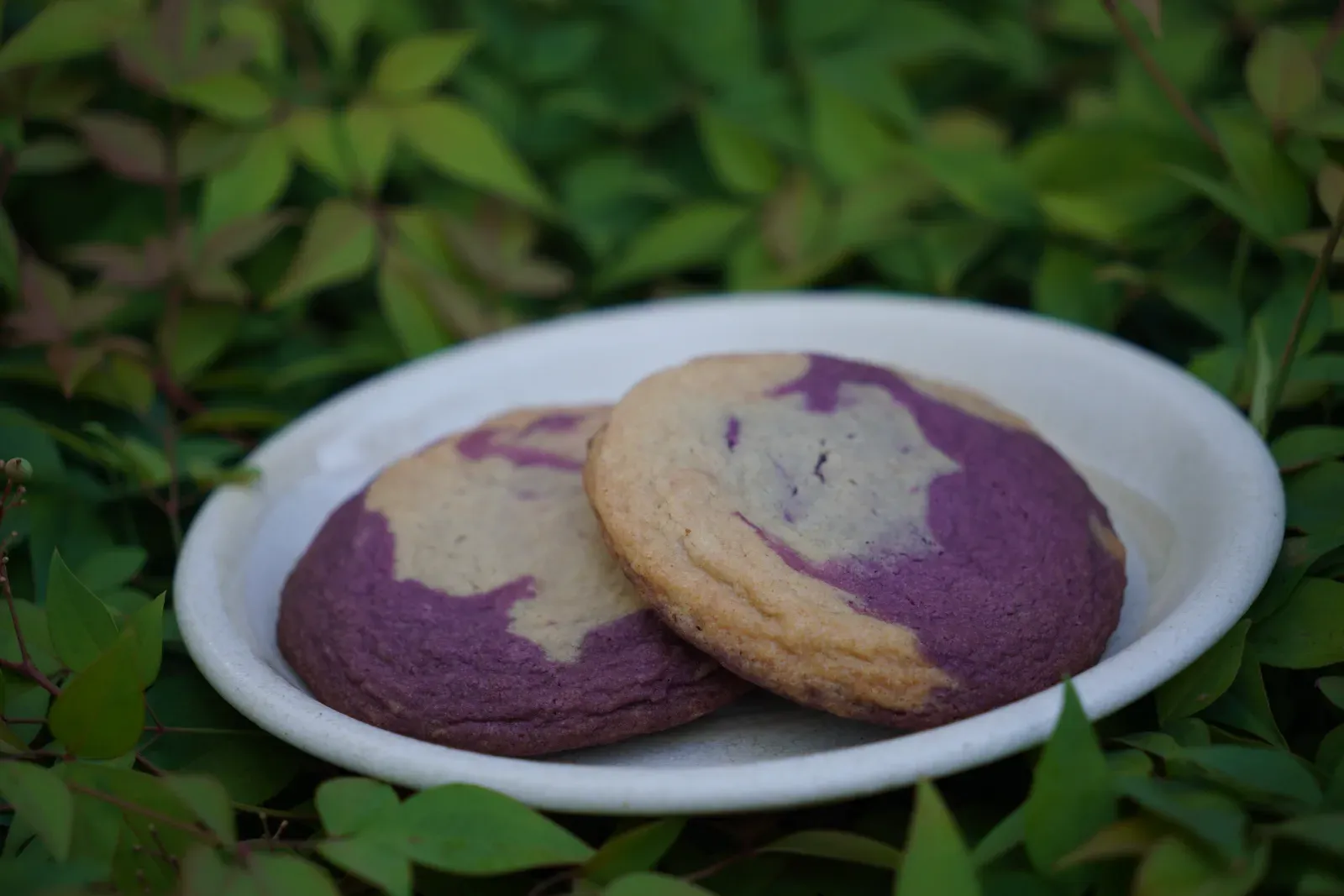 Marbled Ube Cookie