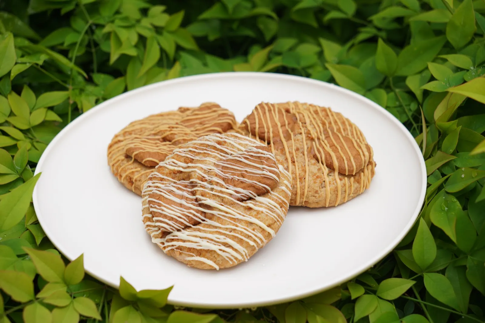 Biscoff Cookie
